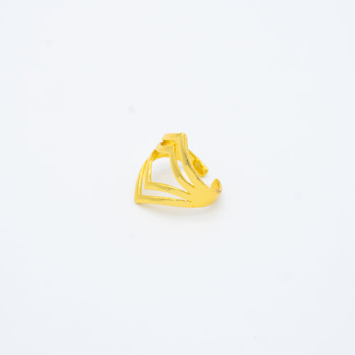 ANILLO