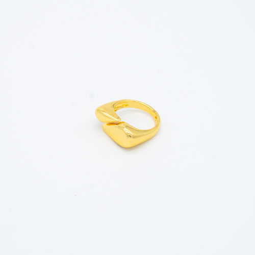 ANILLO