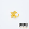 ANILLO