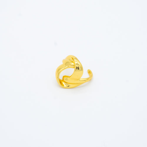 ANILLO