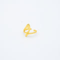 ANILLO