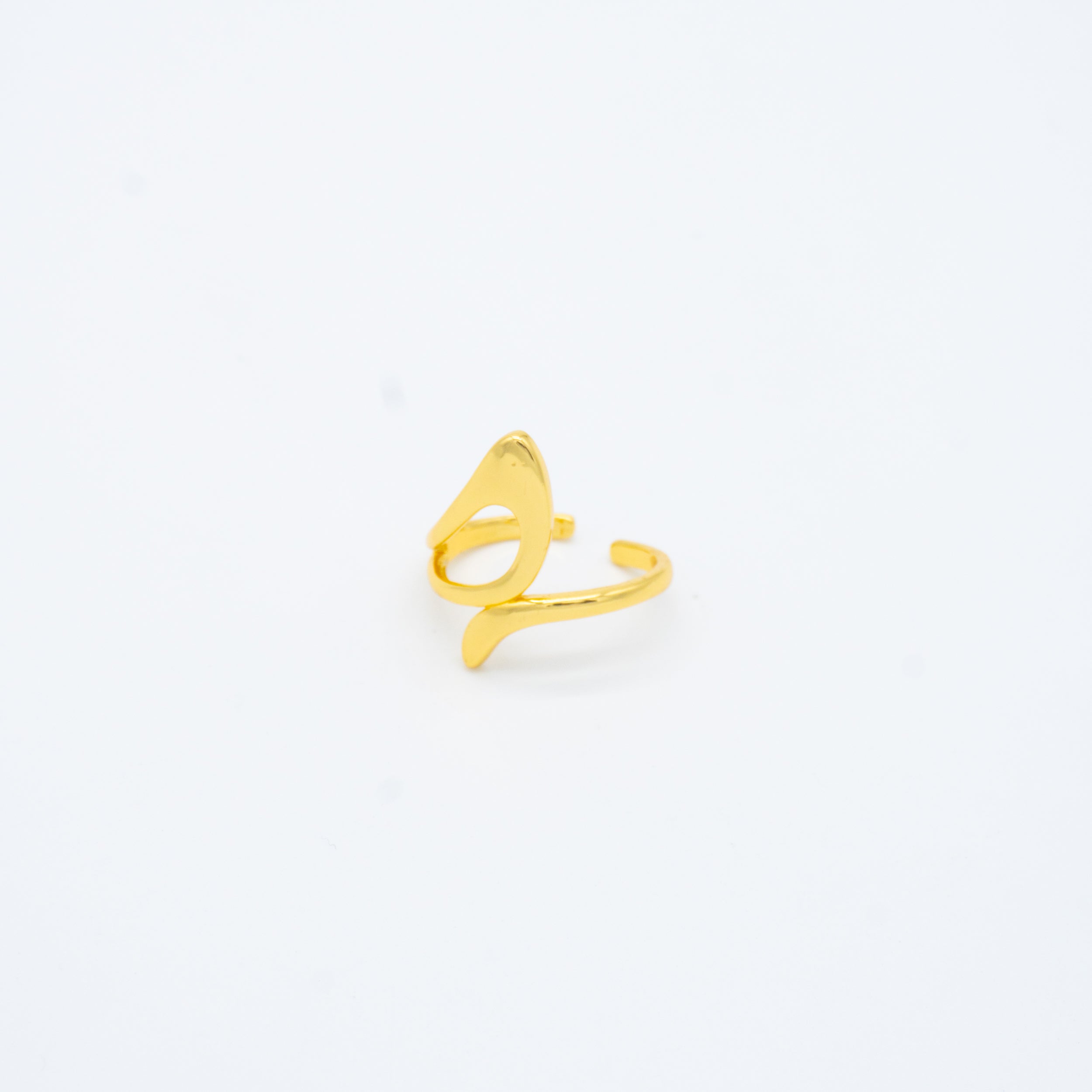 ANILLO