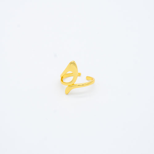 ANILLO