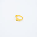 ANILLO