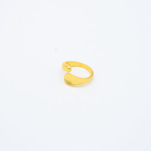 ANILLO
