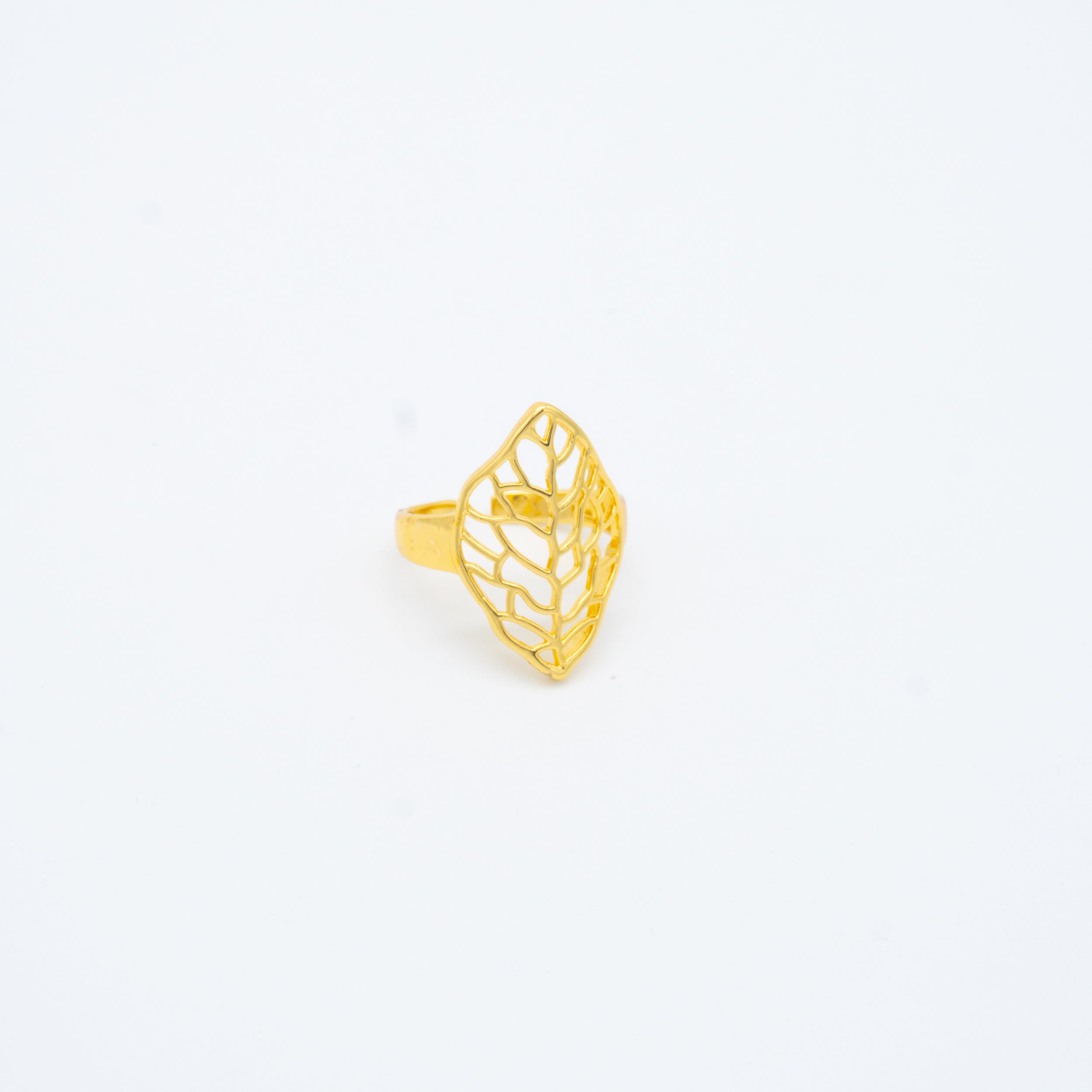 ANILLO