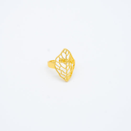 ANILLO