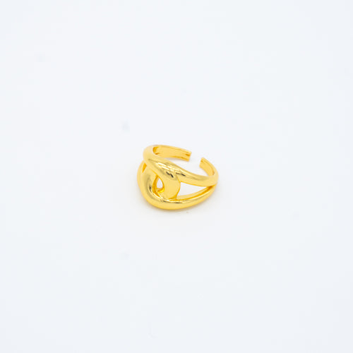 ANILLO