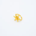 ANILLO
