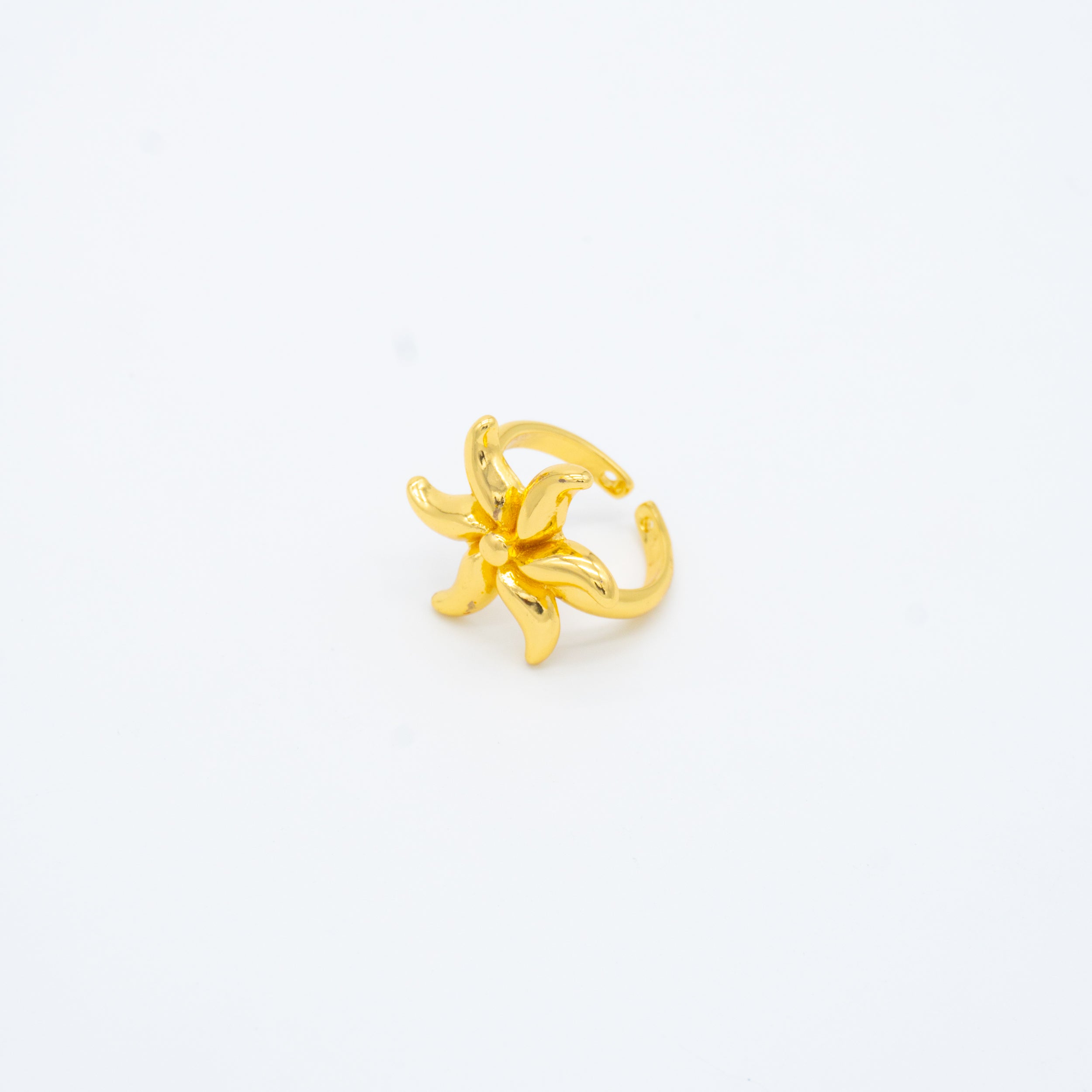 ANILLO