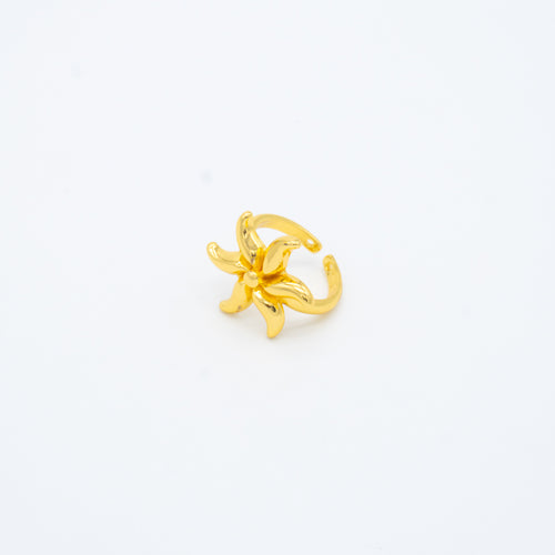 ANILLO