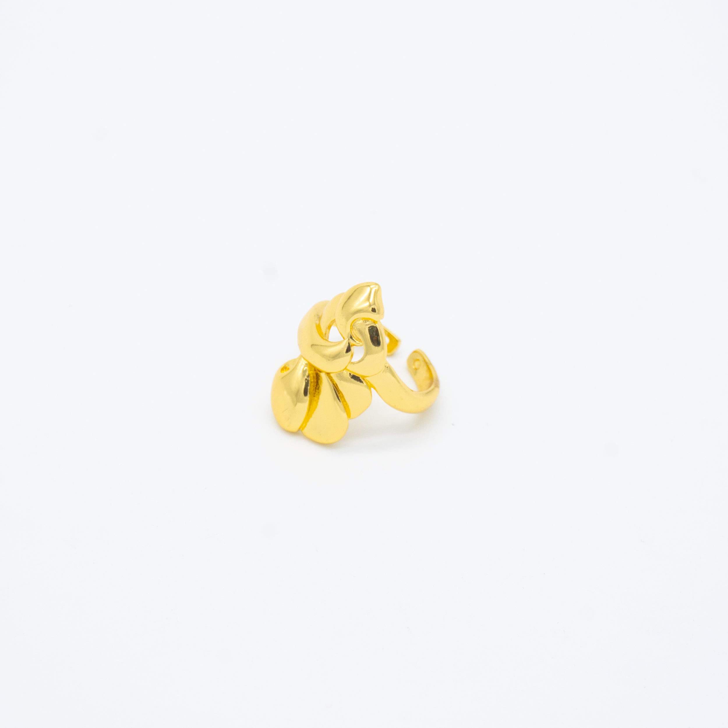ANILLO
