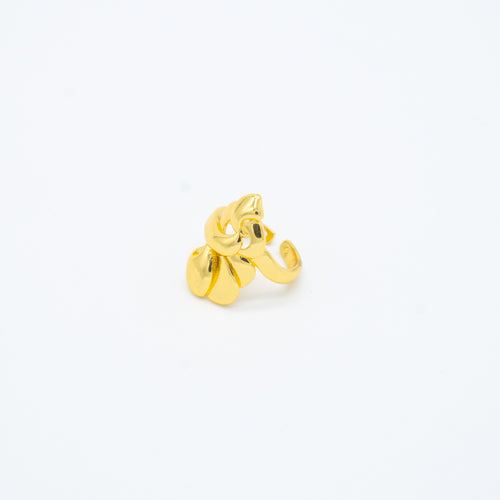 ANILLO
