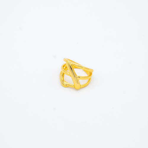 ANILLO