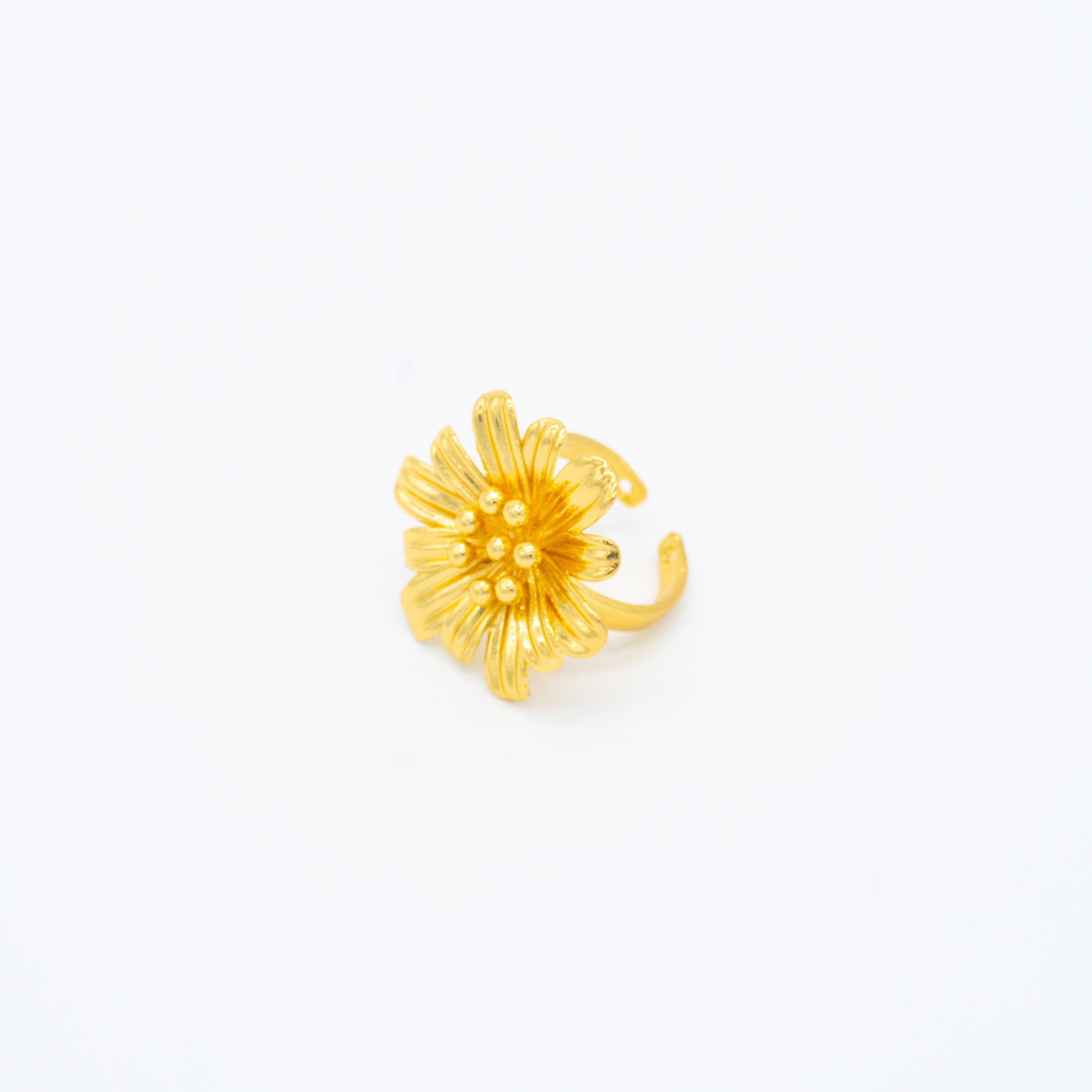ANILLO