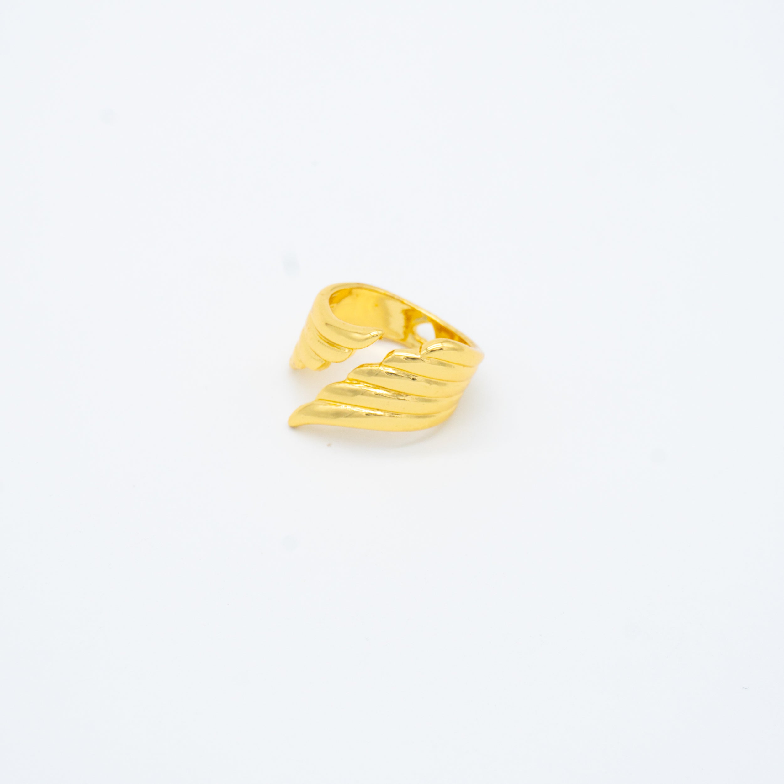 ANILLO
