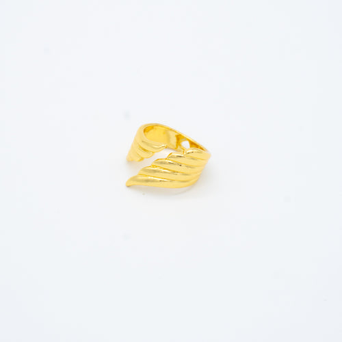 ANILLO