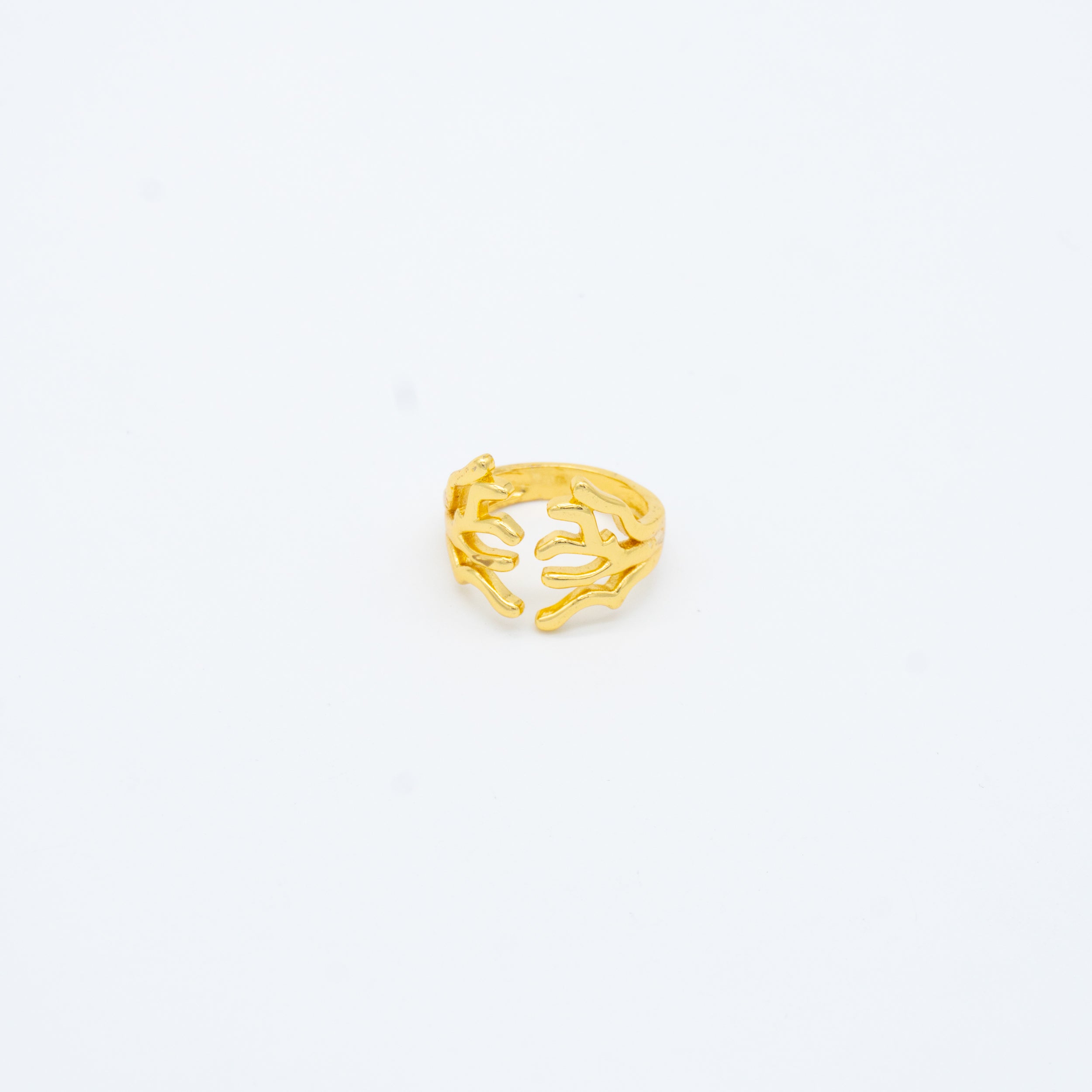 ANILLO