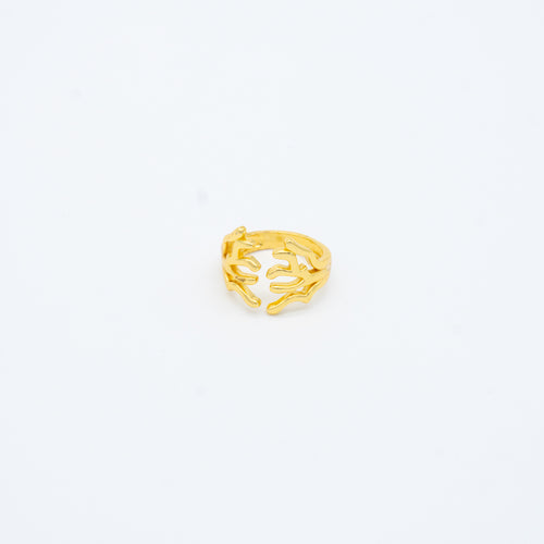 ANILLO
