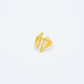 ANILLO