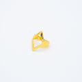 ANILLO