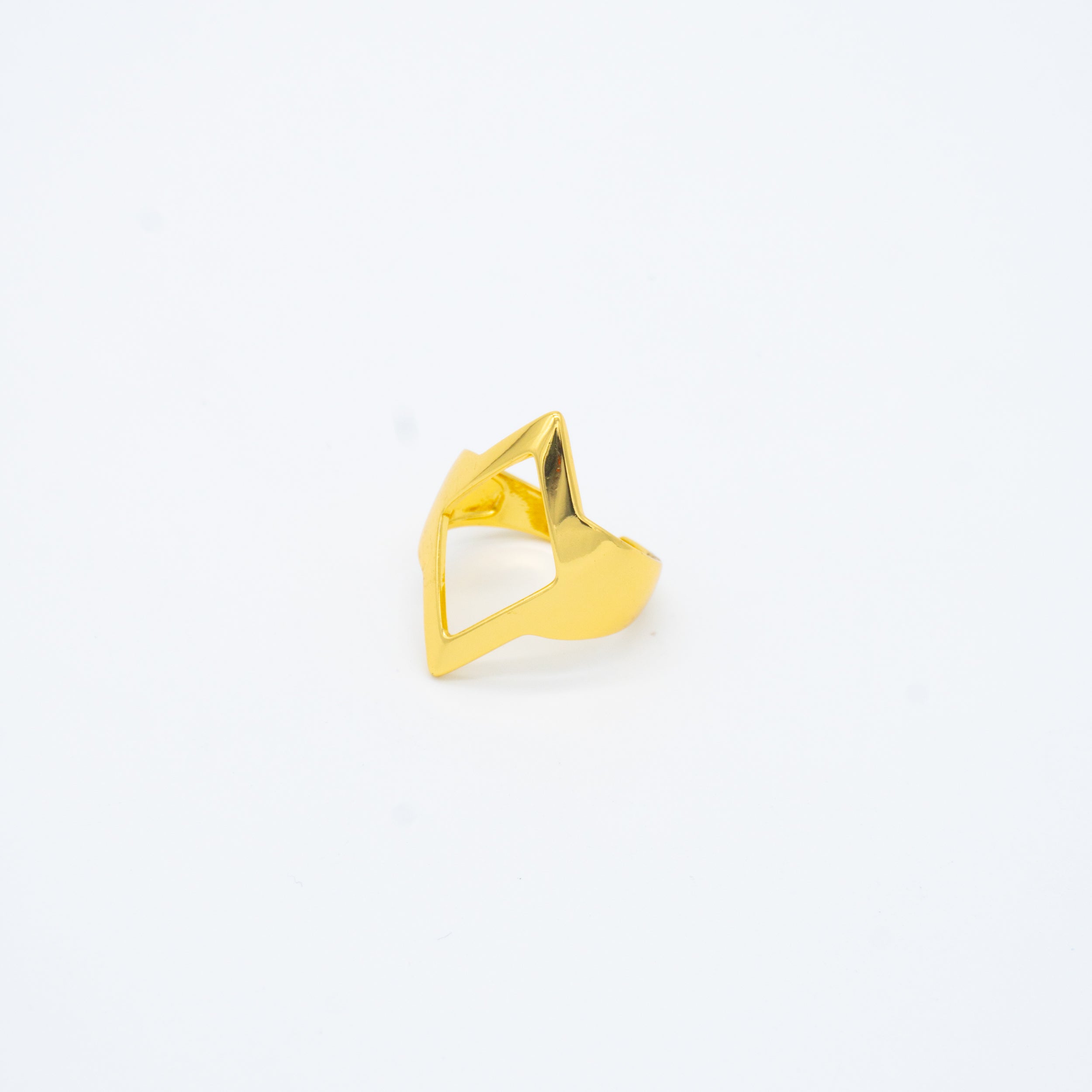 ANILLO