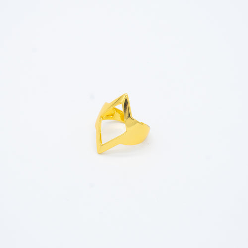 ANILLO