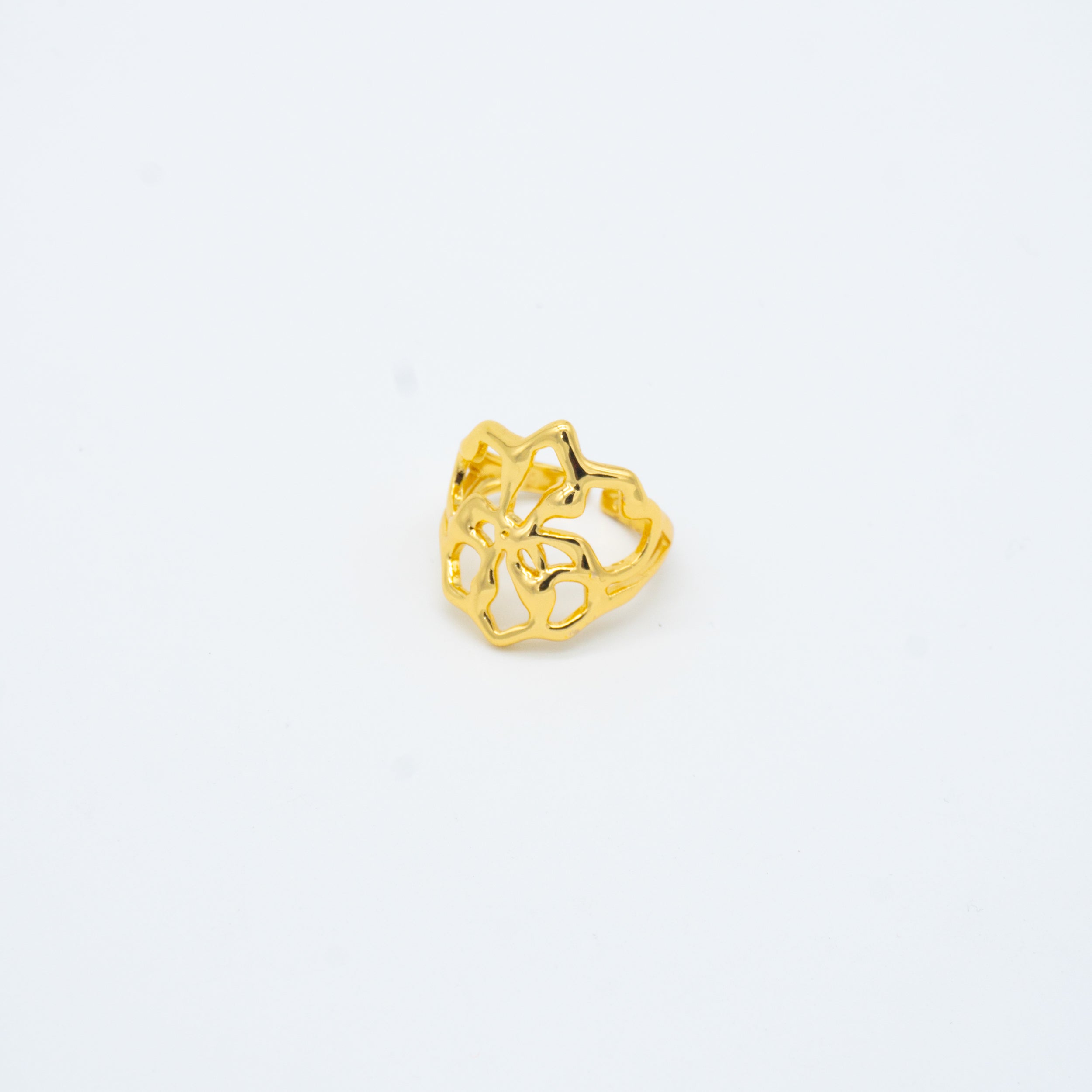 ANILLO