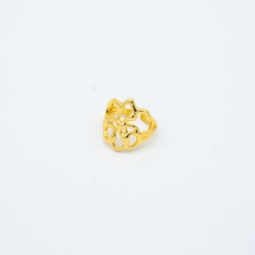 ANILLO