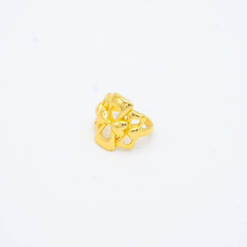ANILLO
