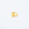 ANILLO