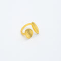 ANILLO