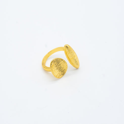 ANILLO