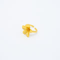 ANILLO