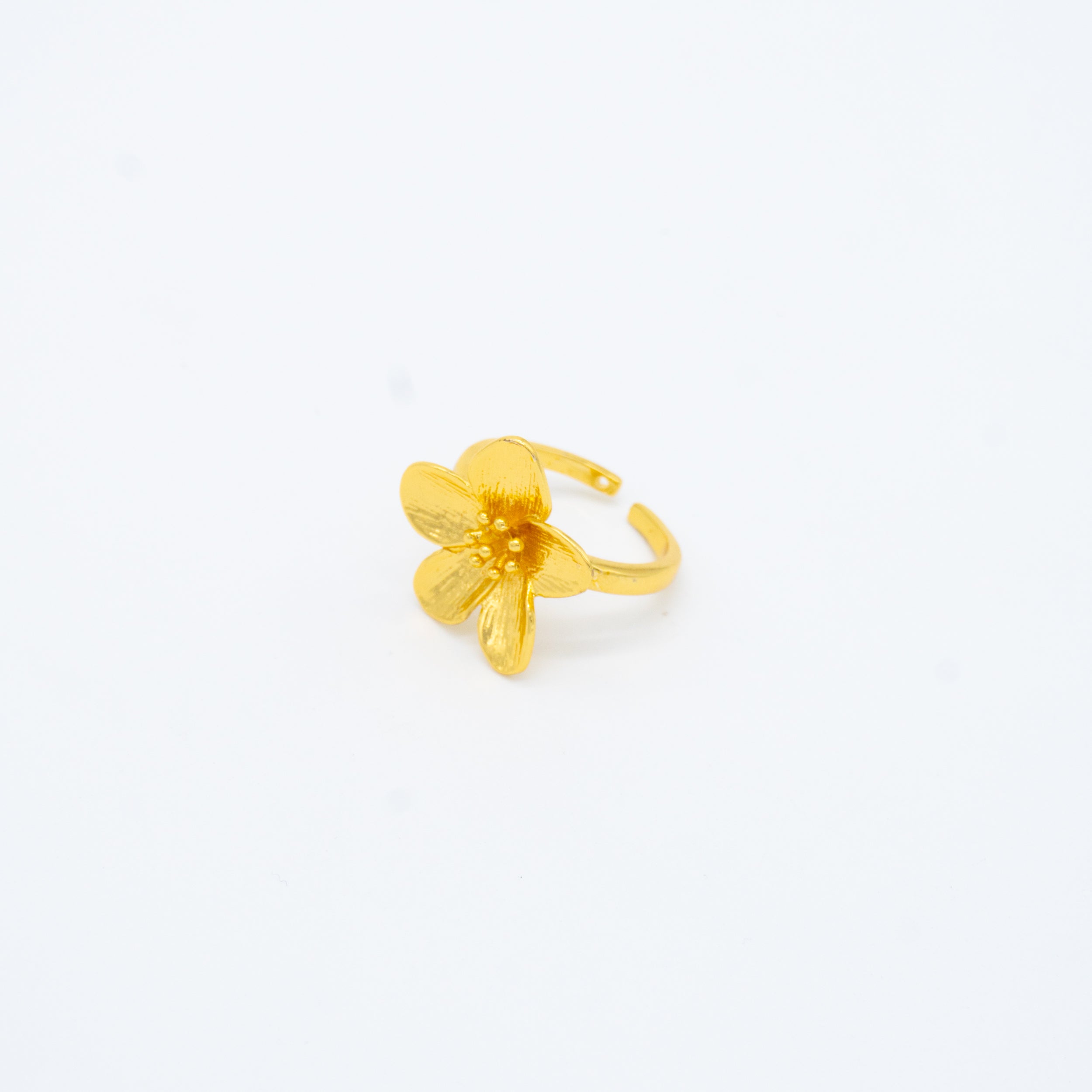 ANILLO