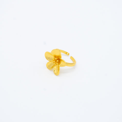 ANILLO