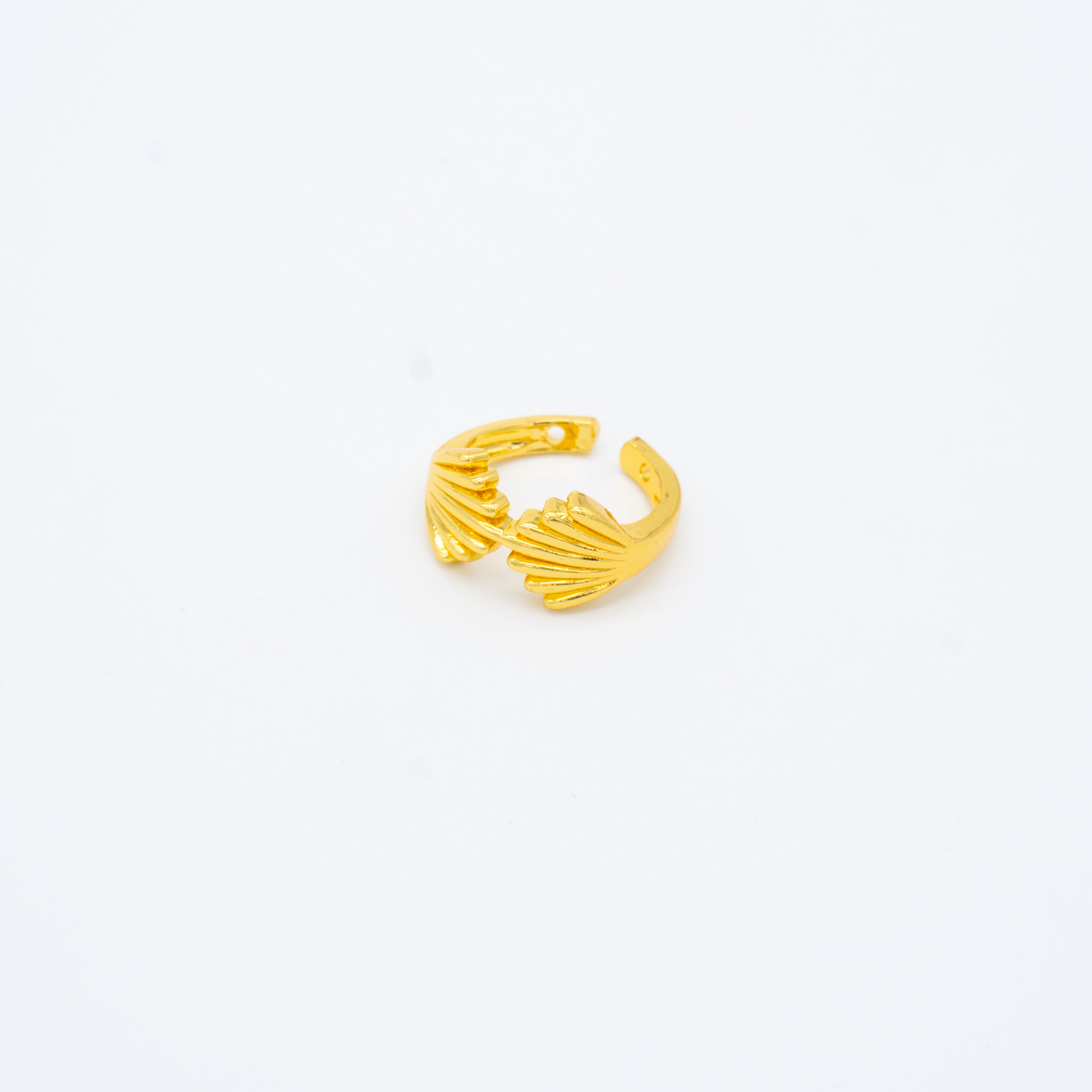 ANILLO