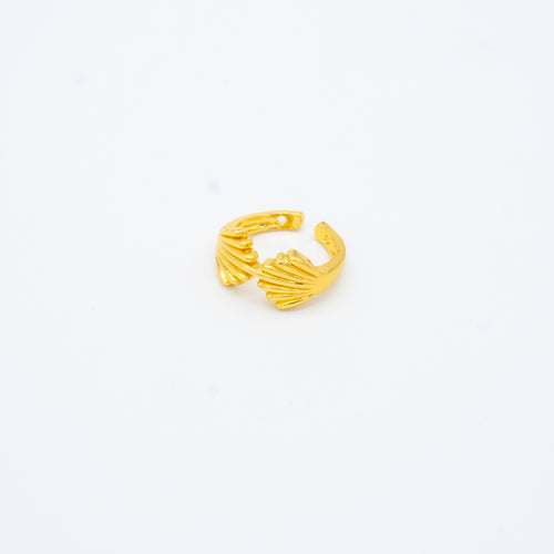 ANILLO