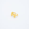 ANILLO