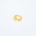 ANILLO