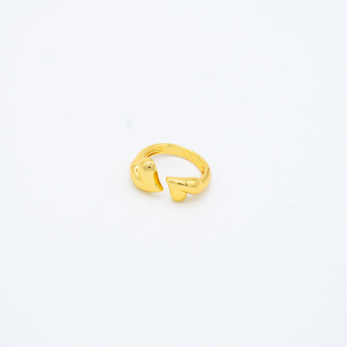 ANILLO