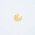 ANILLO