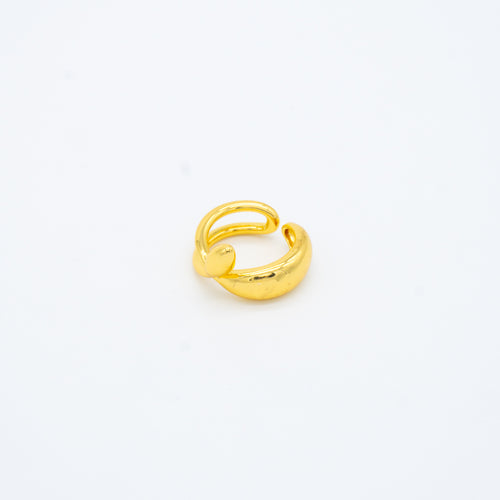 ANILLO