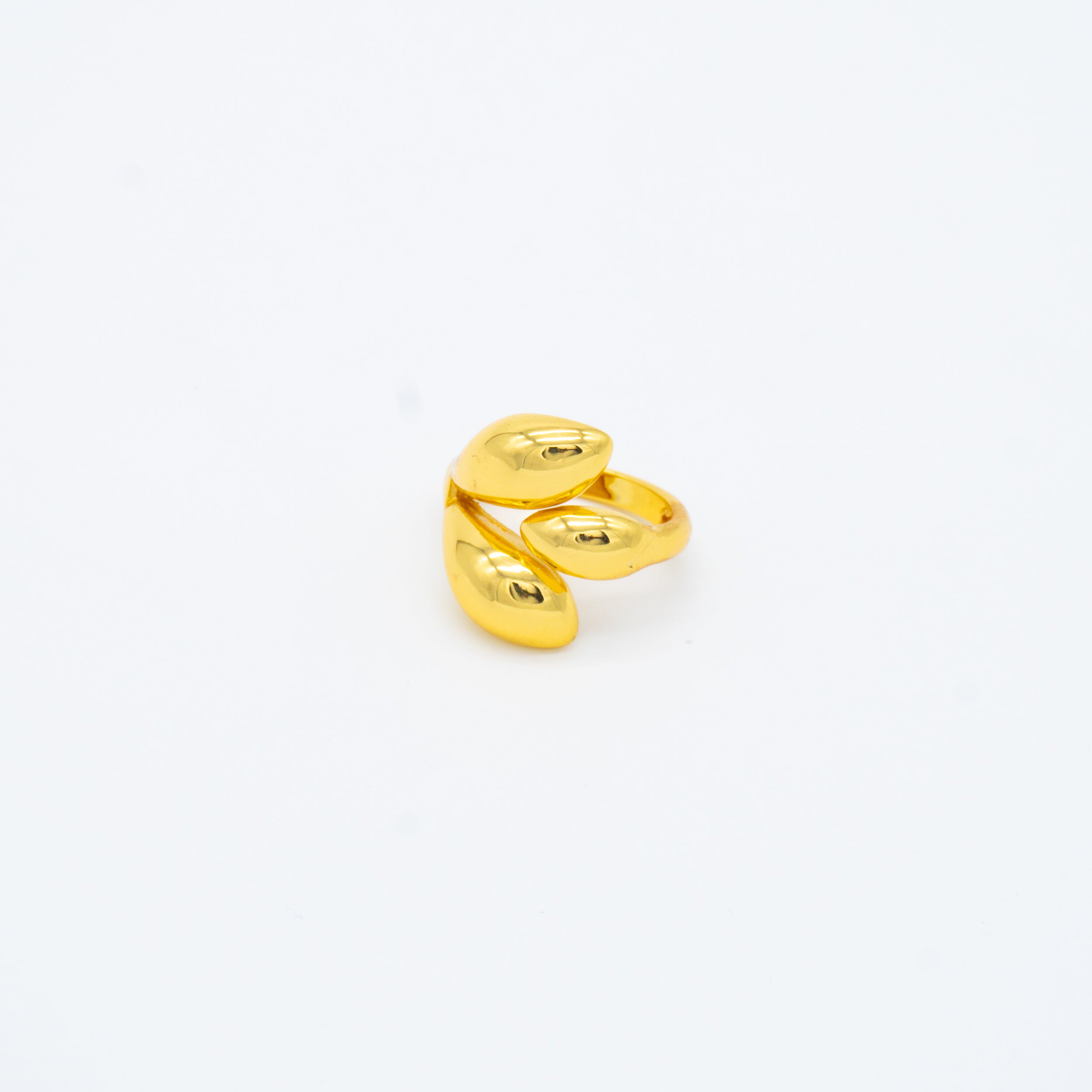 ANILLO