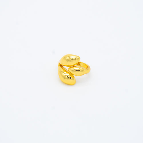 ANILLO
