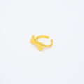 ANILLO