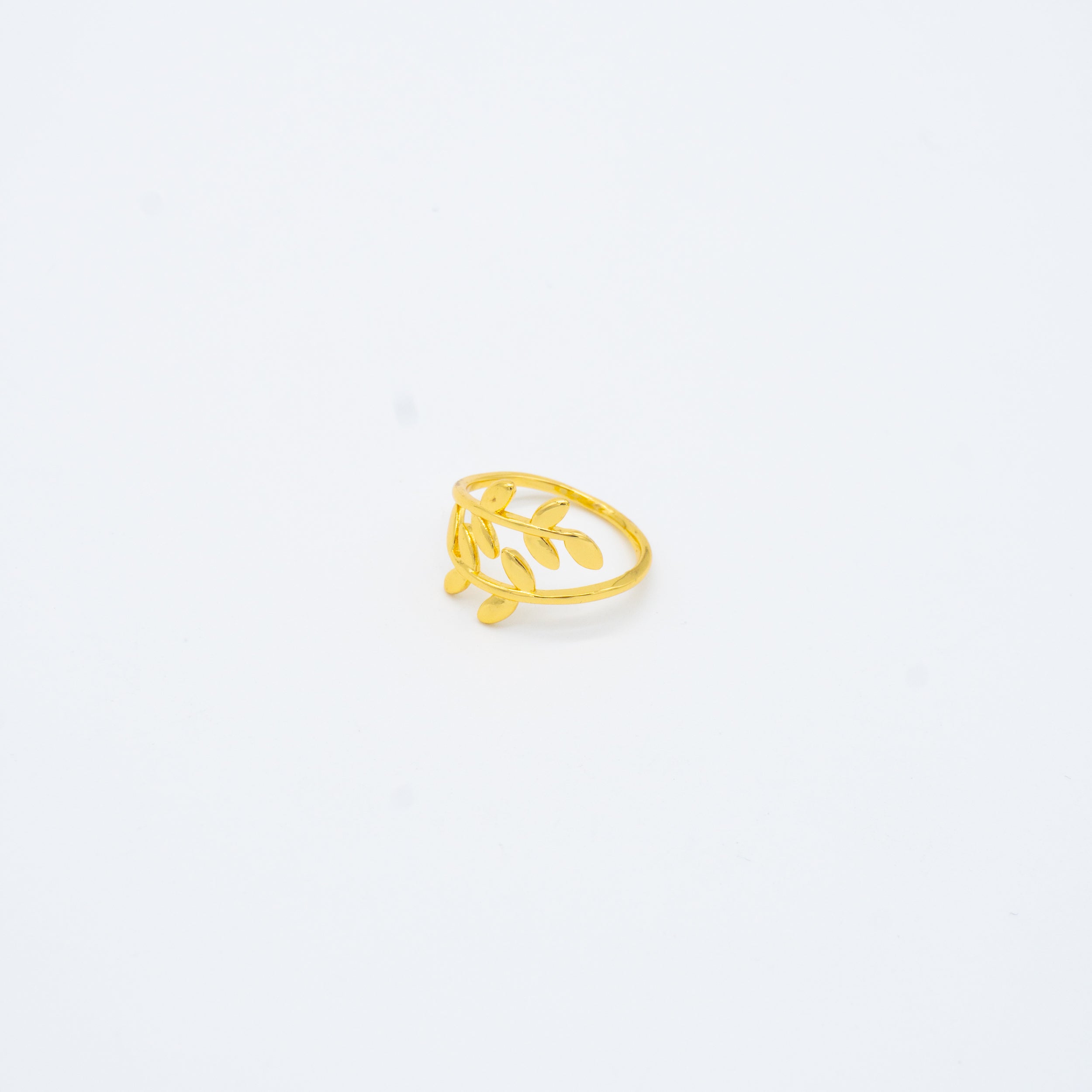 ANILLO