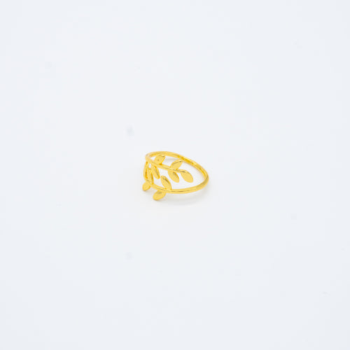 ANILLO
