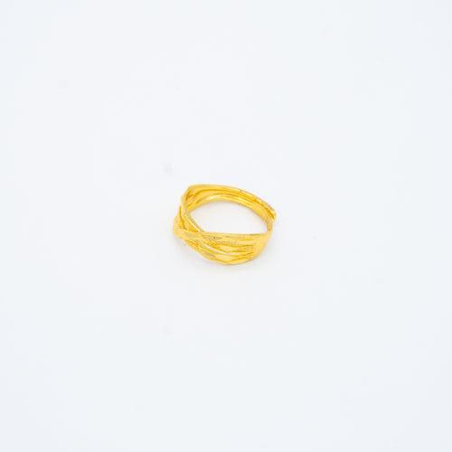 ANILLO