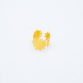 ANILLO